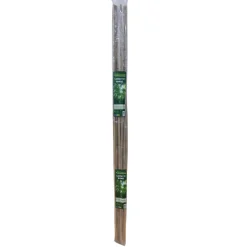 Vendita online di SET 10 CANNETTE IN BAMBOO H 150CM DIAM. 10/12MM
