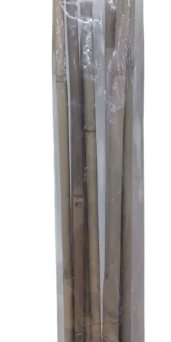 Vendita online di SET 10 CANNETTE IN BAMBOO H 150CM DIAM. 10/12MM