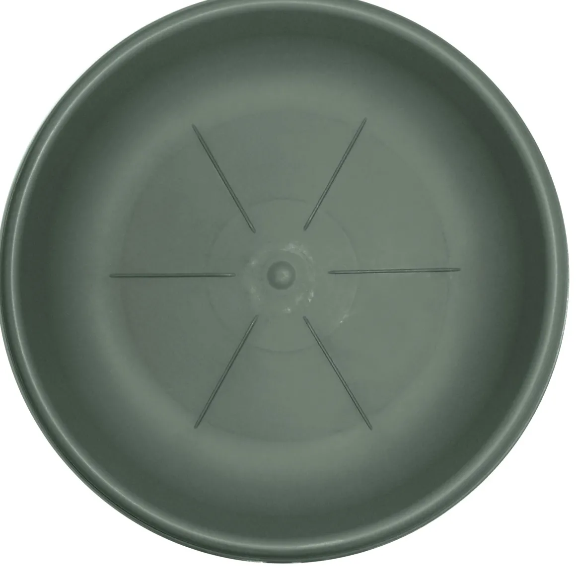 Vendita online di SOTTOVASO DIAM. 26 OLIVA