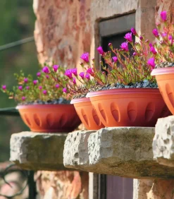 Vendita online di VASO ALBA DIAM. 50 TERRACOTTA