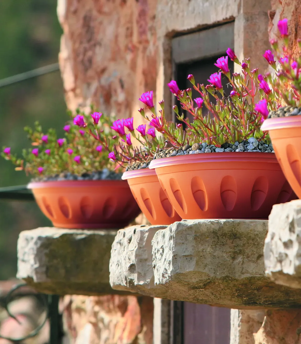Vendita online di VASO ALBA DIAM. 50 TERRACOTTA