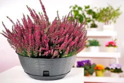 Vendita online di VASO PAGLIA DIAM. 40CM ANTRACITE CON SOTTOVASO