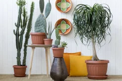 Vendita online di VASO TERRA DIAM. 30 TERRACOTTA
