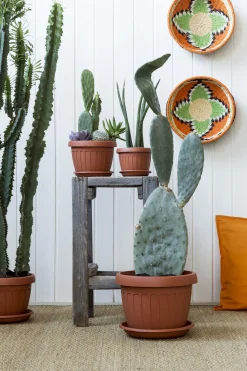 Vendita online di VASO TERRA DIAM. 40 TERRACOTTA