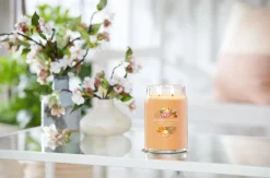 YANKEE CANDLE - GIARA GRANDE 2 STOPPINI MANGO ICE CREAM: vendita online YANKEE CANDLE - GIARA GRANDE 2 STOPPINI MANGO ICE CREAM in offerta