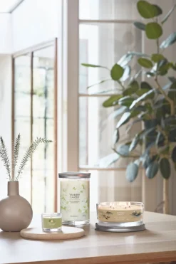 YANKEE CANDLE - CANDELA VOTIVE IN VETRO SAGE AND CITRUS: vendita online YANKEE CANDLE - CANDELA VOTIVE IN VETRO SAGE AND CITRUS in offerta
