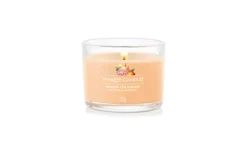 YANKEE CANDLE - CANDELA VOTIVE IN VETRO MANGO ICE CREAM: vendita online YANKEE CANDLE - CANDELA VOTIVE IN VETRO MANGO ICE CREAM in offerta