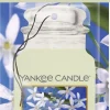 YANKEE CANDLE - CAR JAR MIDNIGHT JASMINE: vendita online YANKEE CANDLE - CAR JAR MIDNIGHT JASMINE in offerta