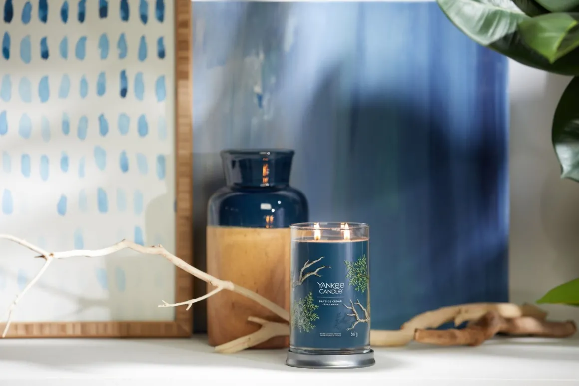 YANKEE CANDLE - TUMBLER GRANDE 2 STOPPINI BAYSIDE CEDAR: vendita online YANKEE CANDLE - TUMBLER GRANDE 2 STOPPINI BAYSIDE CEDAR in offerta