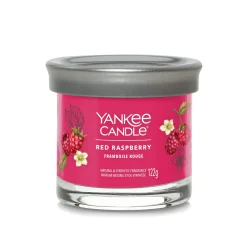 YANKEE CANDLE - TUMBLER PICCOLO RED RASPBERRY: vendita online YANKEE CANDLE - TUMBLER PICCOLO RED RASPBERRY in offerta