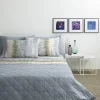 ZUCCHI - COMPLETO LETTO MATRIMONIALE IN COTONE SPLASH : vendita online ZUCCHI - COMPLETO LETTO MATRIMONIALE IN COTONE SPLASH in offerta